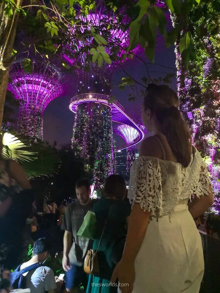 Girl looking at Supertree grove in Singapore