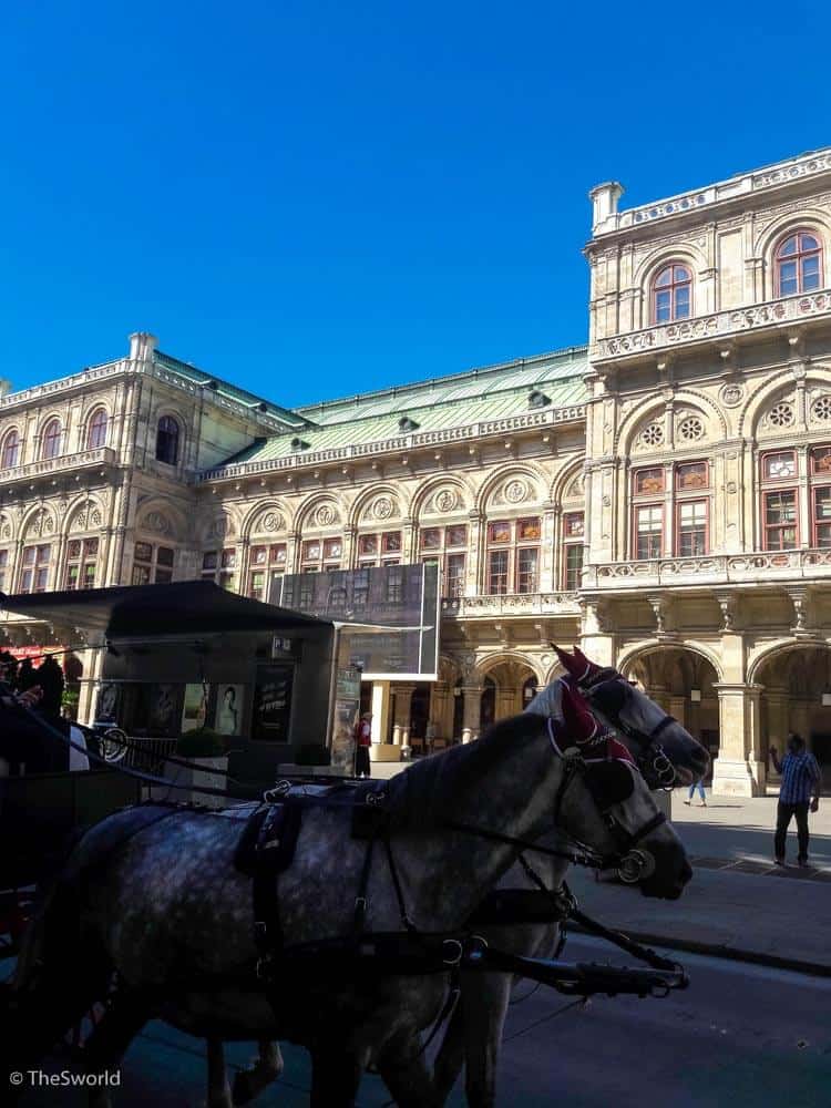 Horses in front of Vienna state opera in Vienna