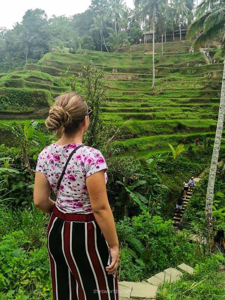 Girl looking at rice fields in Bali