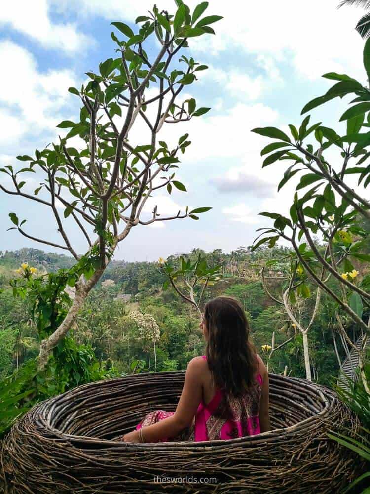 Girl sitting in a nest overlooking forest in Bali