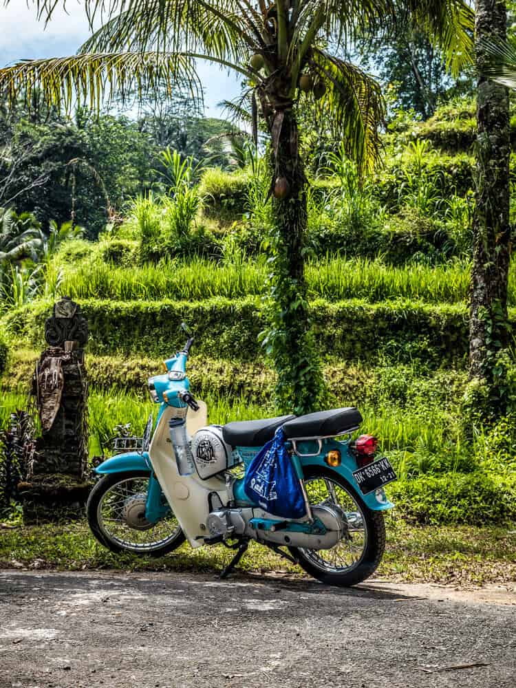 Motorbike standing next to rice field at Bali
