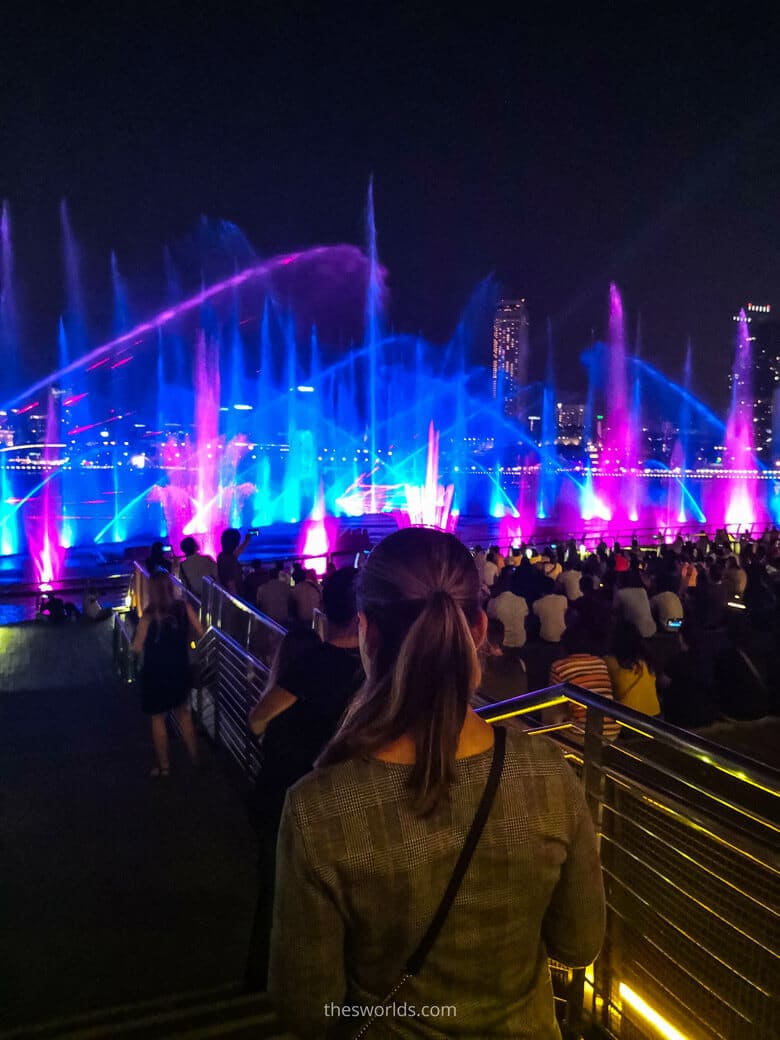 People looking at Night show in Singapore
