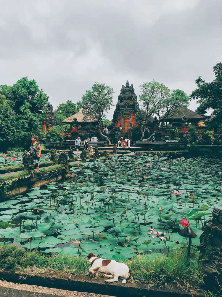 People standing at water temple Ubud