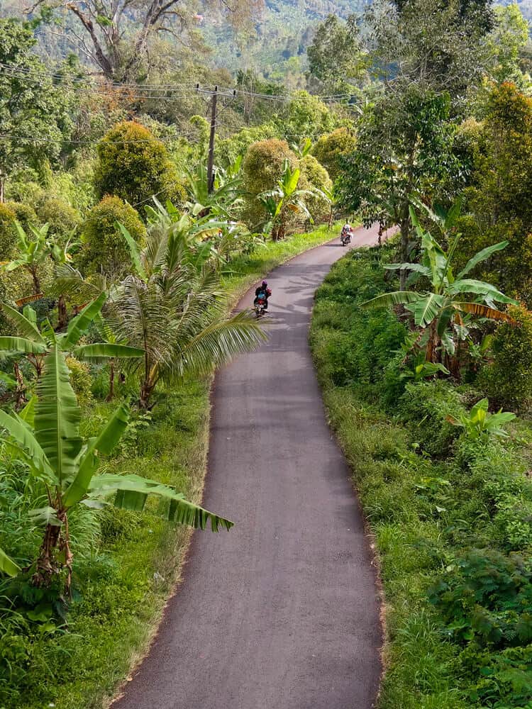 People driving on a road in the middle of forest at Bali