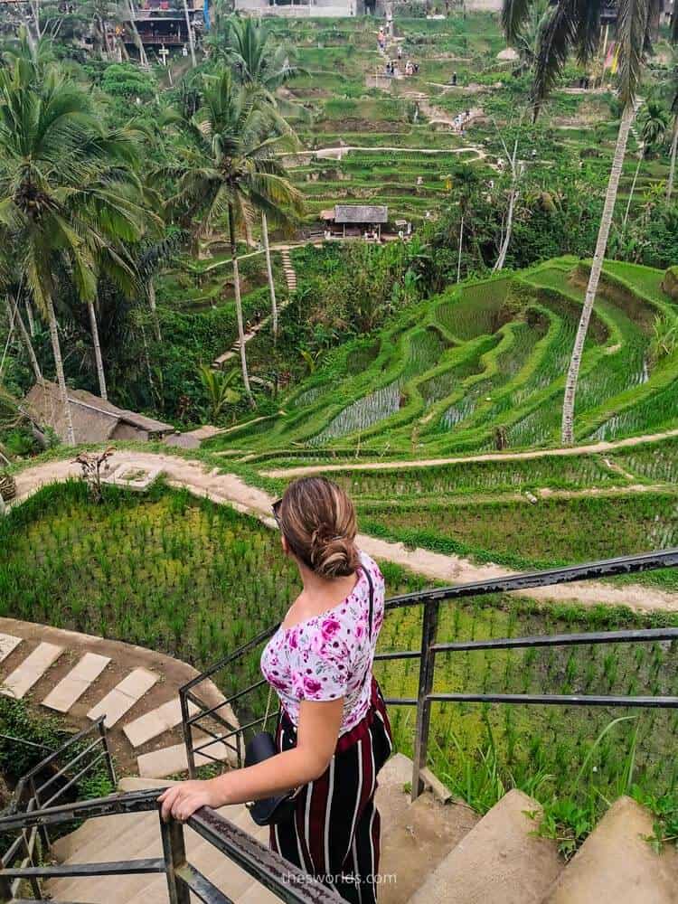 Girl walking down the stairs at Tegallalang rice terrace Bali