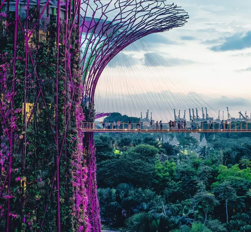 People standing on Supertree groove bridge in Singapore