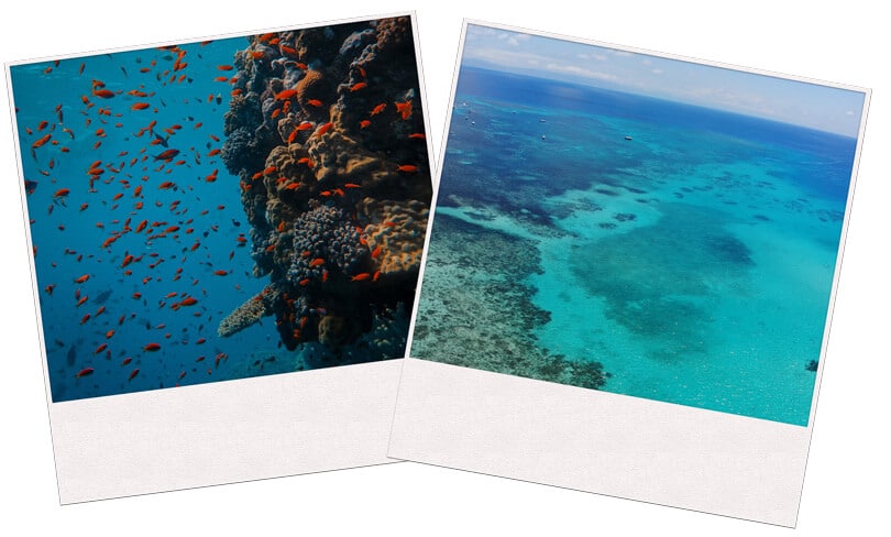 Two images of Great barrier reef in Australia